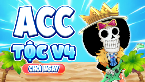 Acc v4 full gear + cdk
